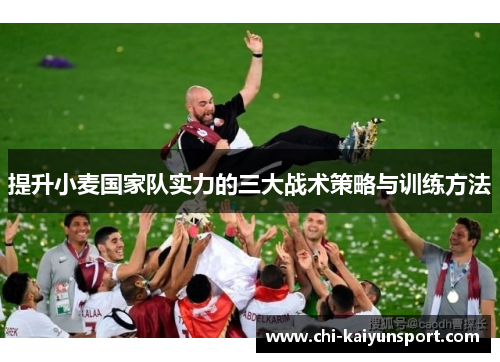 提升小麦国家队实力的三大战术策略与训练方法 提升小麦国家队实力的三大战术策略与训练方法