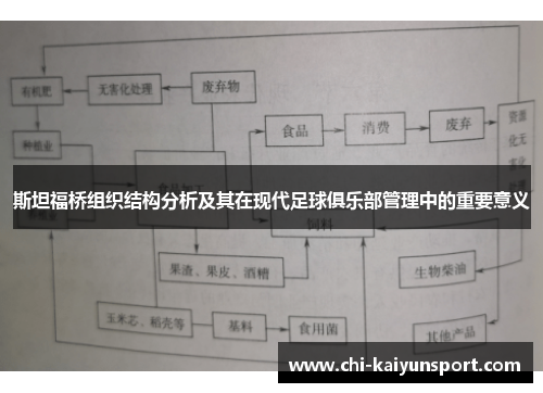 斯坦福桥组织结构分析及其在现代足球俱乐部管理中的重要意义