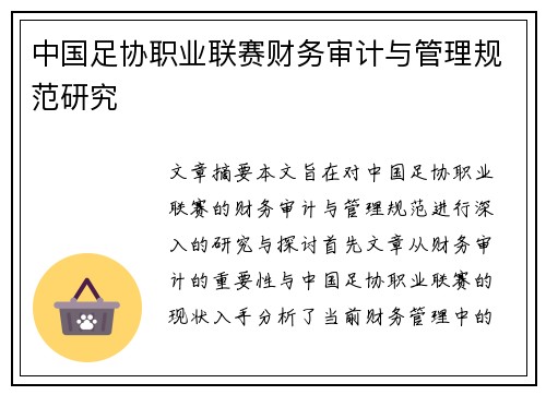 中国足协职业联赛财务审计与管理规范研究