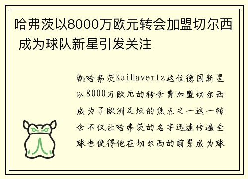 哈弗茨以8000万欧元转会加盟切尔西 成为球队新星引发关注